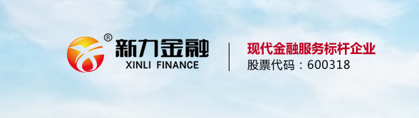 新力金融最新公告深度解讀，最新動態(tài)與解析