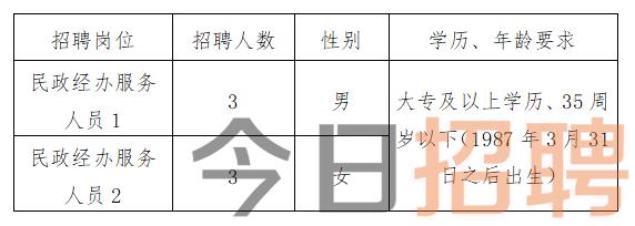 宣化區(qū)人民政府辦公室最新招聘信息概覽，職位、要求與待遇全解析