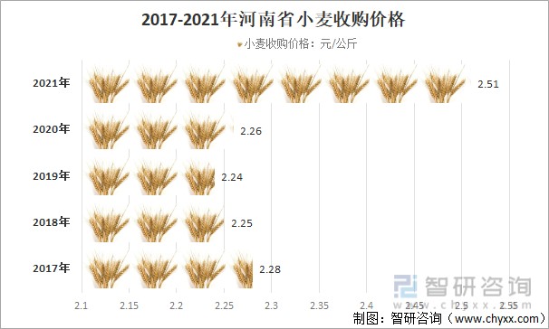 河北麥子價(jià)格最新行情及分析概覽