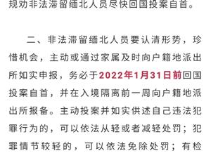 來鳳百姓網(wǎng)最新招聘動態(tài)，探索職業(yè)發(fā)展，無限機(jī)會等你來！