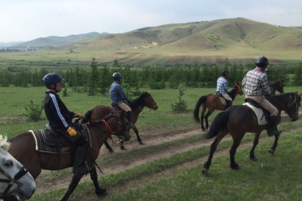 2024澳門特馬今晚開獎一｜絕對經(jīng)典解釋落實