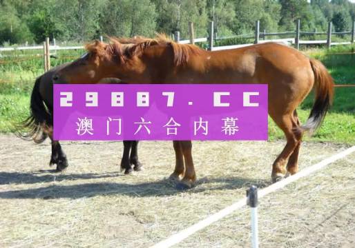 4949澳門特馬今晚開獎53期｜時代解答解釋落實