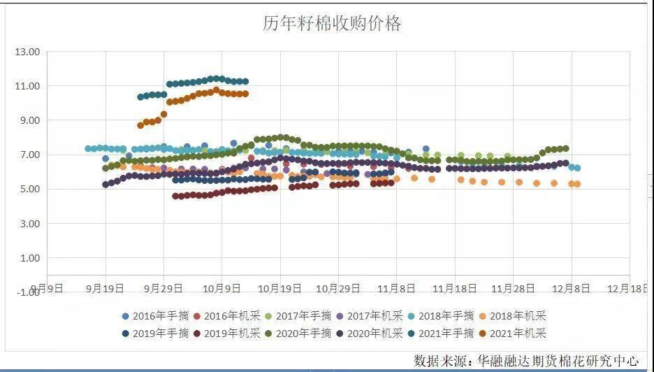 山東棉籽今日最新價格及分析概述