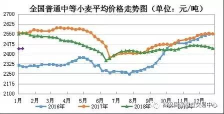 濰坊小麥價格最新行情及分析簡報(bào)