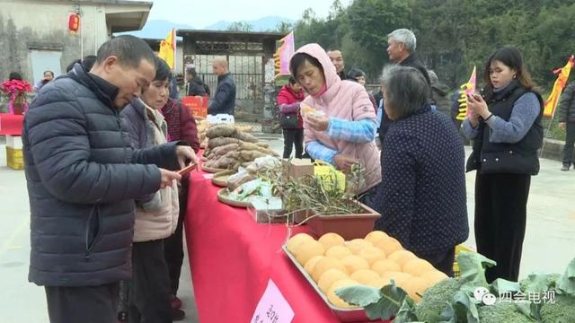 新澳門一碼一肖一特一中水果爺爺｜全面貫徹解釋落實