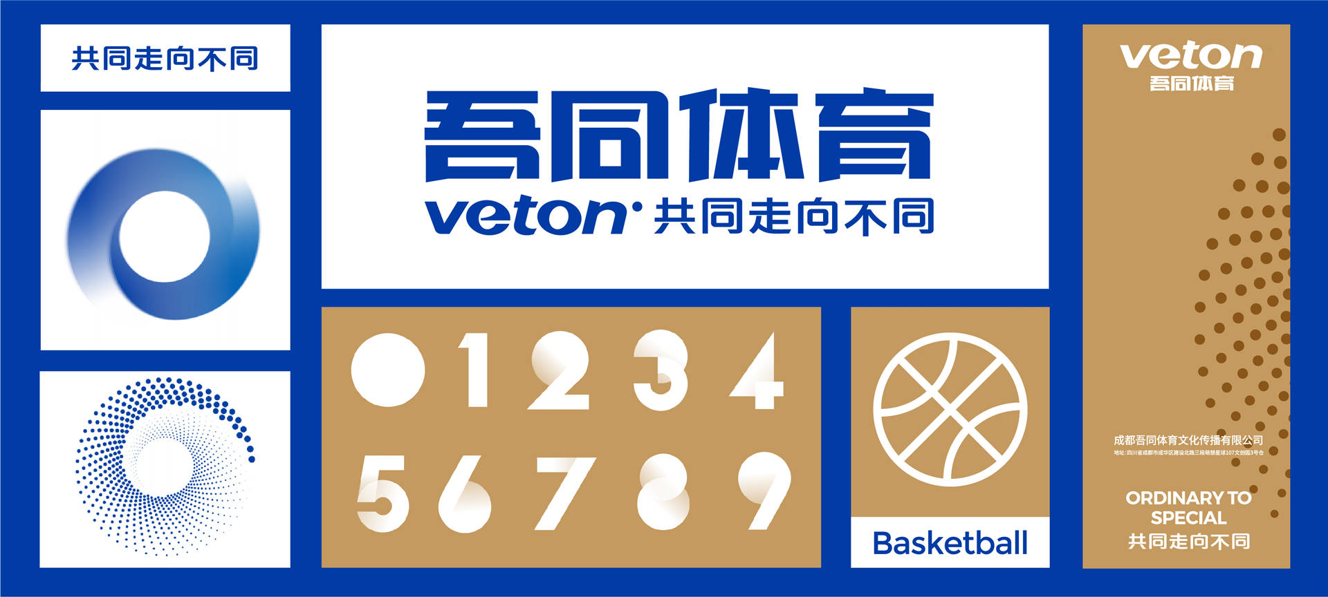 新澳門(mén)資料大全正版資料2024年免費(fèi)下載,家野中特｜全面釋義解釋落實(shí)