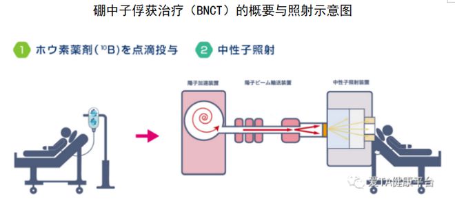 硼中子治療最新進(jìn)展概覽