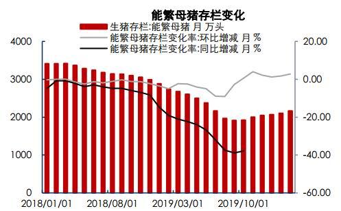 最新母豬存欄現狀及未來趨勢展望，影響與未來展望