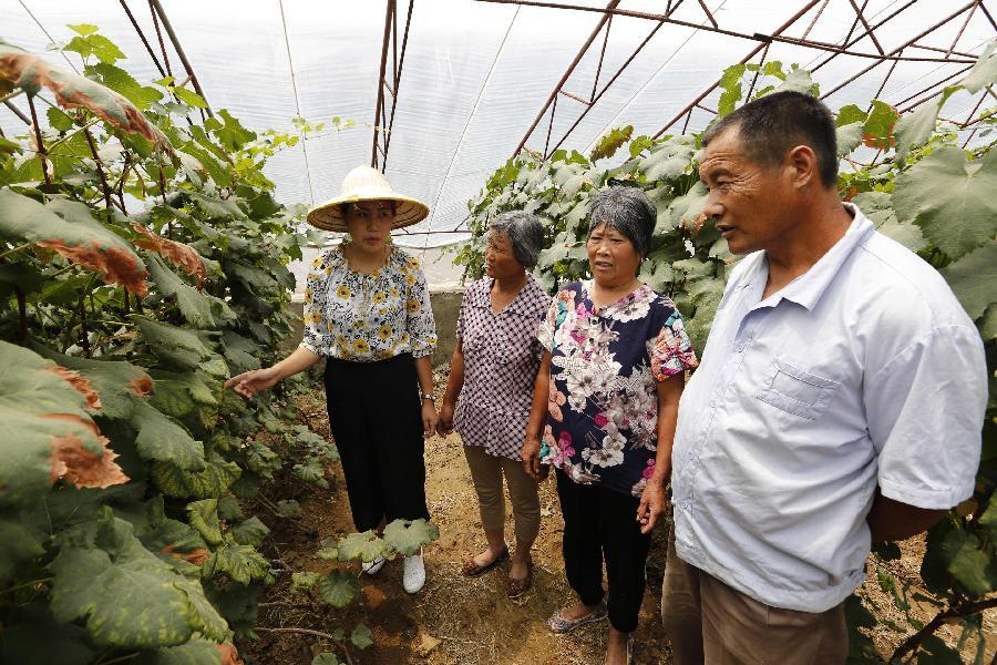 沂南縣農(nóng)業(yè)農(nóng)村局最新戰(zhàn)略規(guī)劃揭秘，推動(dòng)農(nóng)業(yè)現(xiàn)代化與鄉(xiāng)村振興的新篇章