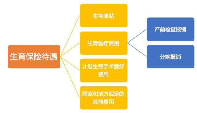 解讀探討，生育報銷最新政策詳解