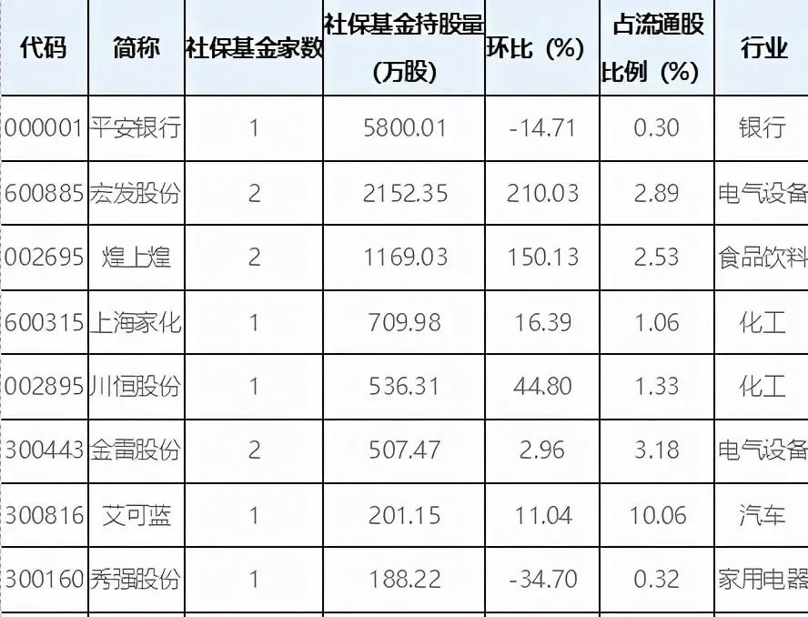 最新社保重倉(cāng)股的投資趨勢(shì)深度解析，市場(chǎng)洞察與策略布局