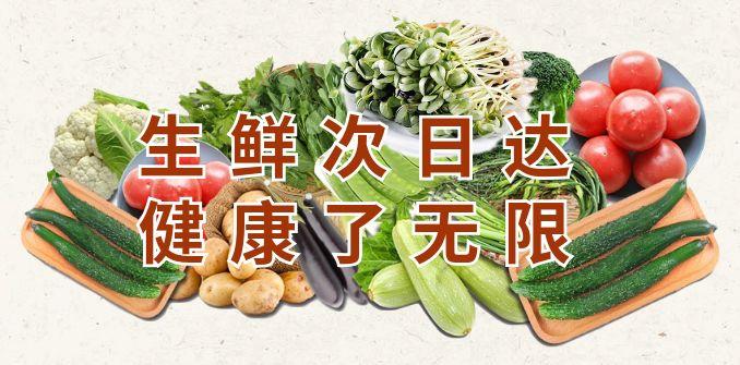 土豆最新動(dòng)態(tài)，引領(lǐng)農(nóng)業(yè)科技創(chuàng)新，塑造未來食品產(chǎn)業(yè)新篇章